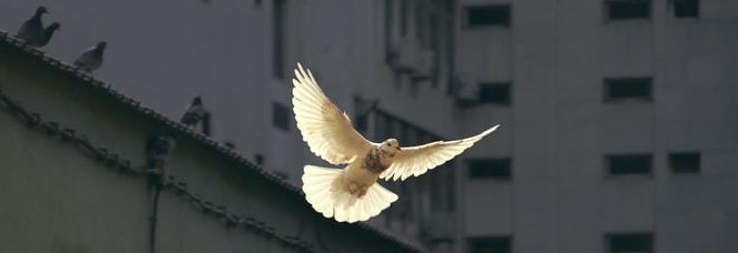 Deep in Heavenly Peace